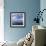 Tourists in Rigid Inflatable Boat Approach a Seal Lying on the Ice, Antarctica-Geoff Renner-Framed Photographic Print displayed on a wall