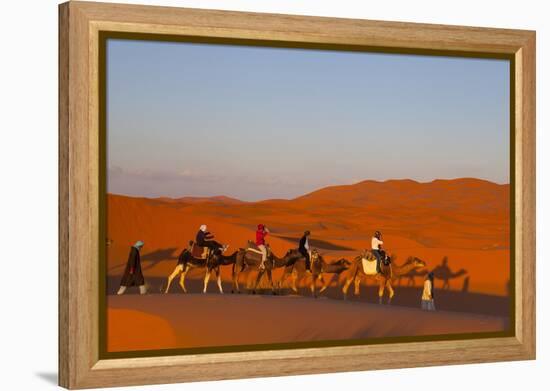 Tourists on Camel Safari, Sahara Desert, Merzouga, Morocco, North Africa, Africa-Doug Pearson-Framed Premier Image Canvas