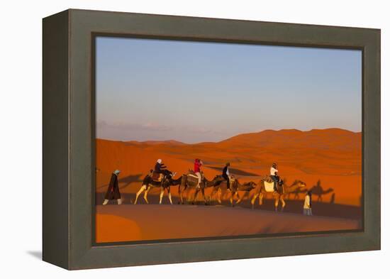 Tourists on Camel Safari, Sahara Desert, Merzouga, Morocco, North Africa, Africa-Doug Pearson-Framed Premier Image Canvas