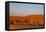 Tourists on Camel Safari, Sahara Desert, Merzouga, Morocco, North Africa, Africa-Doug Pearson-Framed Premier Image Canvas