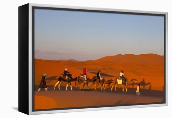 Tourists on Camel Safari, Sahara Desert, Merzouga, Morocco, North Africa, Africa-Doug Pearson-Framed Premier Image Canvas