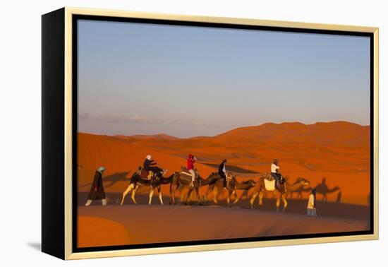 Tourists on Camel Safari, Sahara Desert, Merzouga, Morocco, North Africa, Africa-Doug Pearson-Framed Premier Image Canvas