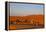 Tourists on Camel Safari, Sahara Desert, Merzouga, Morocco, North Africa, Africa-Doug Pearson-Framed Premier Image Canvas