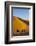 Tourists on Camel Safari, Sahara Desert, Merzouga, Morocco, North Africa, Africa-Doug Pearson-Framed Photographic Print