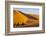 Tourists on Camel Safari, Sahara Desert, Merzouga, Morocco, North Africa, Africa-Doug Pearson-Framed Photographic Print