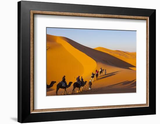 Tourists on Camel Safari, Sahara Desert, Merzouga, Morocco, North Africa, Africa-Doug Pearson-Framed Photographic Print