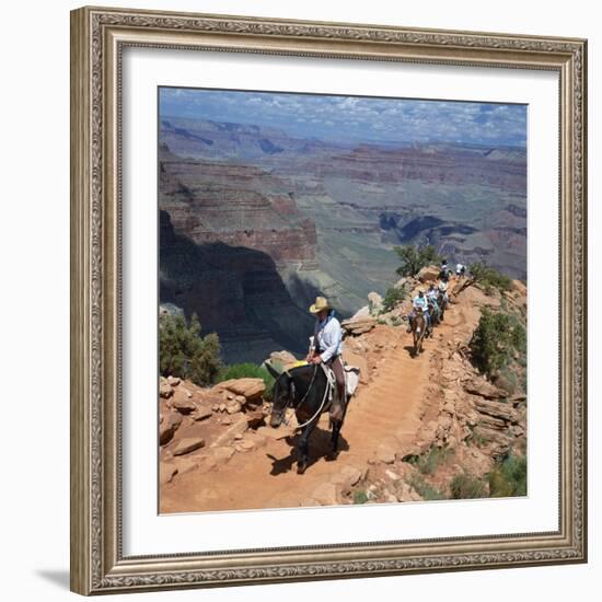 Tourists on Horseback Returning from Trekking in the Grand Canyon, Arizona, USA-Tony Gervis-Framed Photographic Print