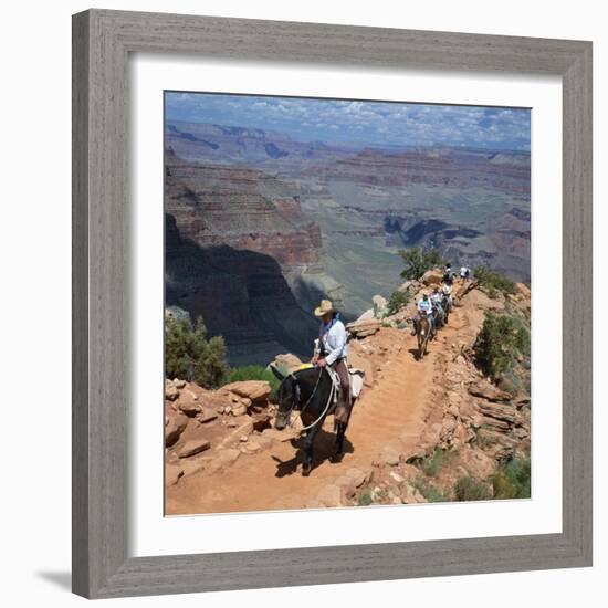 Tourists on Horseback Returning from Trekking in the Grand Canyon, Arizona, USA-Tony Gervis-Framed Photographic Print