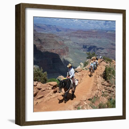 Tourists on Horseback Returning from Trekking in the Grand Canyon, Arizona, USA-Tony Gervis-Framed Photographic Print