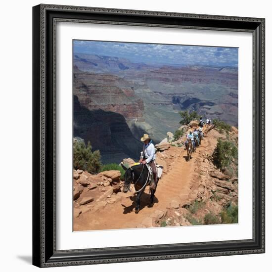 Tourists on Horseback Returning from Trekking in the Grand Canyon, Arizona, USA-Tony Gervis-Framed Photographic Print