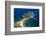 Tourists on Isola Bella Beach, Taormina, Sicily, Italy, Mediterranean, Europe-Matthew Williams-Ellis-Framed Photographic Print