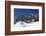 Tourists on Jade Dragon Snow Mountain (Yulong Xueshan), Lijiang, Yunnan, China, Asia-Ian Trower-Framed Photographic Print