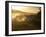 Tourists on Safari in the Masai Mara National Reserve, Kenya, East Africa, Africa-Andrew Mcconnell-Framed Photographic Print