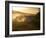 Tourists on Safari in the Masai Mara National Reserve, Kenya, East Africa, Africa-Andrew Mcconnell-Framed Photographic Print