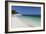 Tourists on the beach framed by the turquoise sea, Conero Riviera, Marche, Italy-Roberto Moiola-Framed Photographic Print