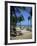 Tourists on the Beach, Playa Del Carmen, Mayan Riviera, Mexico, North America-Nelly Boyd-Framed Photographic Print