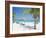 Tourists on the Beach-null-Framed Photographic Print