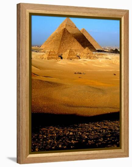 Tourists Ride Horses and Camels at the Historical Site of the Giza Pyramids, Near Cairo, Egypt-null-Framed Premier Image Canvas