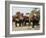 Tourists Riding Elephants in Traditional Royal Style, Ayuthaya, Thailand, Southeast Asia-Richard Nebesky-Framed Photographic Print