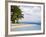 Tourists Sea Kayaking, Boca Del Drago Beach, Colon Island, Bocas Del Toro Province, Panama-Jane Sweeney-Framed Photographic Print