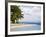 Tourists Sea Kayaking, Boca Del Drago Beach, Colon Island, Bocas Del Toro Province, Panama-Jane Sweeney-Framed Photographic Print