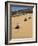 Tourists Set Out on Quad Bikes to Explore Magnificent Desert Scenery of Hartmann's Valley, Nambia-Nigel Pavitt-Framed Photographic Print