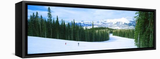 Tourists Skiing on a Snow Covered Landscape, Telluride, San Miguel County, Colorado, USA-null-Framed Premier Image Canvas