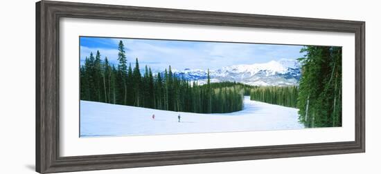 Tourists Skiing on a Snow Covered Landscape, Telluride, San Miguel County, Colorado, USA-null-Framed Photographic Print