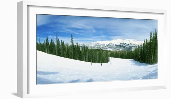 Tourists Skiing on a Snow Covered Landscape, Telluride, San Miguel County, Colorado, USA-null-Framed Photographic Print