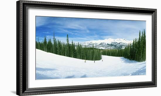 Tourists Skiing on a Snow Covered Landscape, Telluride, San Miguel County, Colorado, USA-null-Framed Photographic Print