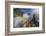 Tourists Take a River Boat to the Base of the Falls, Misiones, Argentina-Michael Nolan-Framed Photographic Print