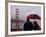 Tourists Use an Umbrella During a Light Rain, Looking at the Golden Gate Bridge in San Francisco-null-Framed Photographic Print