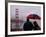 Tourists Use an Umbrella During a Light Rain, Looking at the Golden Gate Bridge in San Francisco-null-Framed Photographic Print