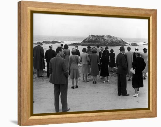Tourists Visiting Coastal Areas Where Seals Congregate on Monterey Peninsula-Peter Stackpole-Framed Premier Image Canvas