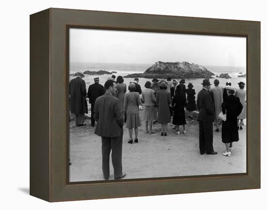 Tourists Visiting Coastal Areas Where Seals Congregate on Monterey Peninsula-Peter Stackpole-Framed Premier Image Canvas