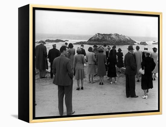 Tourists Visiting Coastal Areas Where Seals Congregate on Monterey Peninsula-Peter Stackpole-Framed Premier Image Canvas