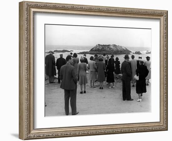 Tourists Visiting Coastal Areas Where Seals Congregate on Monterey Peninsula-Peter Stackpole-Framed Photographic Print