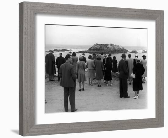 Tourists Visiting Coastal Areas Where Seals Congregate on Monterey Peninsula-Peter Stackpole-Framed Photographic Print