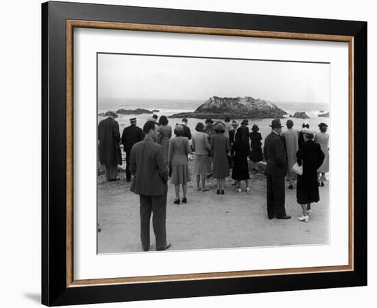 Tourists Visiting Coastal Areas Where Seals Congregate on Monterey Peninsula-Peter Stackpole-Framed Photographic Print