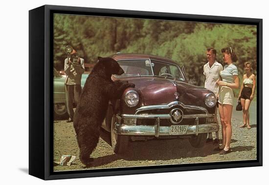 Tourists Watching Black Bear-null-Framed Stretched Canvas