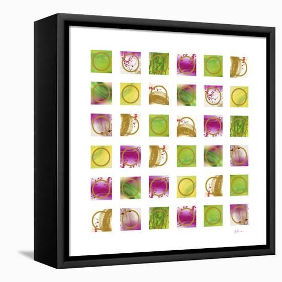 Tourmaline 3 copy-Pamela A. Johnson-Framed Premier Image Canvas