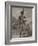 Toussaint Louverture-null-Framed Giclee Print