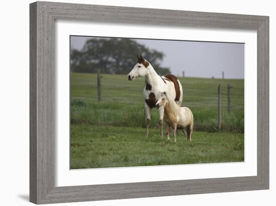 Tovero-Bob Langrish-Framed Photographic Print