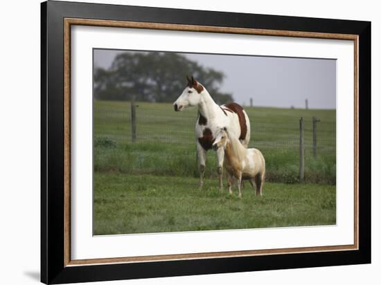 Tovero-Bob Langrish-Framed Photographic Print