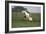 Tovero-Bob Langrish-Framed Photographic Print