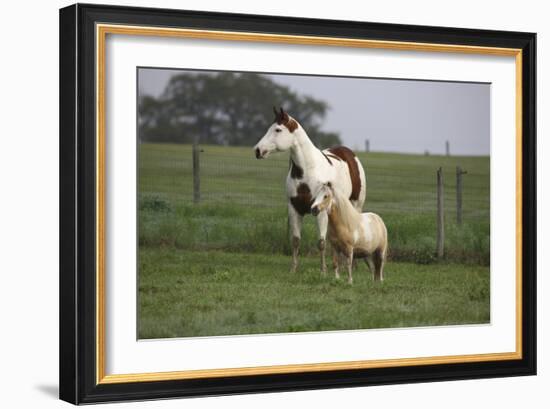 Tovero-Bob Langrish-Framed Photographic Print