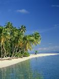 Tropical Island with Palm Trees, Surrounded by the Sea in the Maldive Islands, Indian Ocean-Tovy Adina-Framed Photographic Print