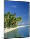 Premium Photographic Print