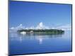 Photographic Print