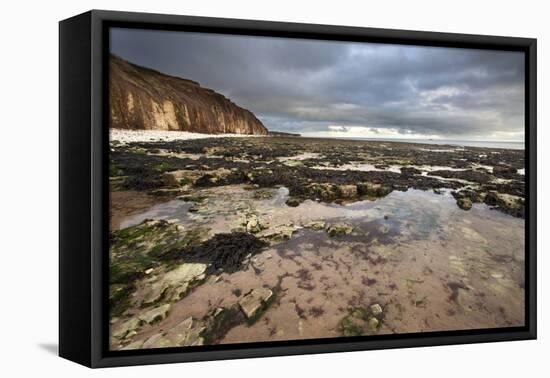 Toward Flamborough Head from Sewerby Rocks, Bridlington, East Riding of Yorkshire, England, UK-Mark Sunderland-Framed Premier Image Canvas